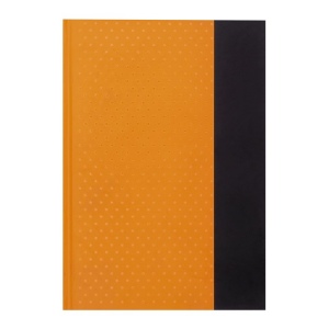 Carnet de notes SIGNUM au format DIN A5 15