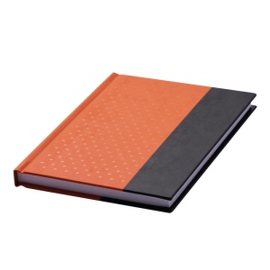 Carnet de notes SIGNUM au format DIN A6 4