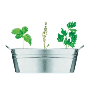 Bac en zinc &amp; herbes aromatique - MIX SEEDS 3