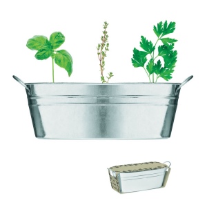 Bac en zinc &amp; herbes aromatique - MIX SEEDS 2