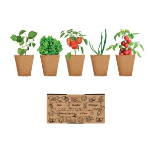 Kit de culture de salade - SALAD 2