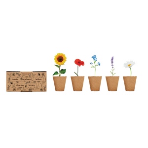 Kit de culture de fleurs - FLOWERS 5