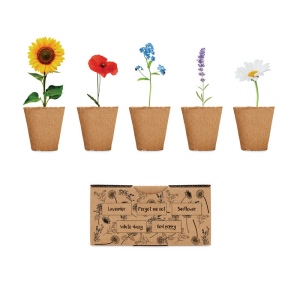 Kit de culture de fleurs - FLOWERS 2