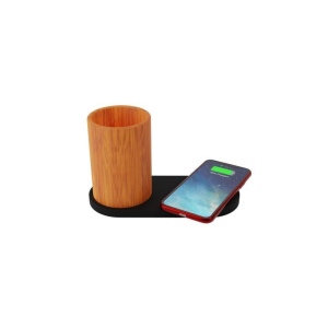 Chargeur 10W et plante dépolluante de bureau (Import) 2