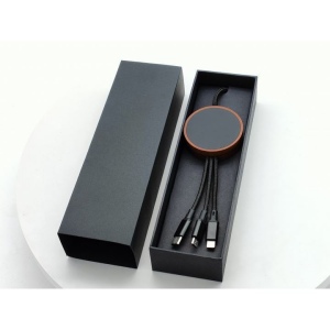 câble eco bois induction 10W FSC 100% bambou (Stock) 4
