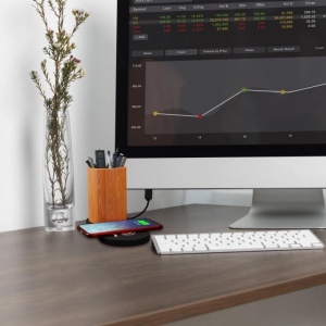 Chargeur 10W et plante dépolluante de bureau (Stock) 8