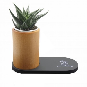 Chargeur 10W et plante dépolluante de bureau (Stock) 9
