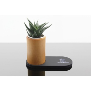 Chargeur 10W et plante dépolluante de bureau (Stock)