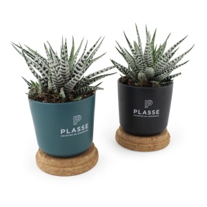 Plante pot bambou liège 3