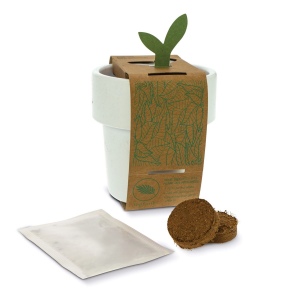Tasse à café hot-but-cool avec graines de fraisiers 8