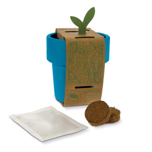 Tasse à café hot-but-cool avec graines de fraisiers 9