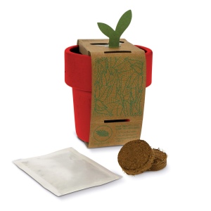 Tasse à café hot-but-cool avec graines de fraisiers 10