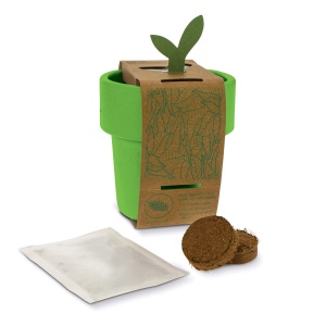 Tasse à café hot-but-cool avec graines de fraisiers 12