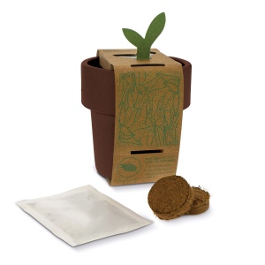 Tasse à café hot-but-cool avec graines de fraisiers 13