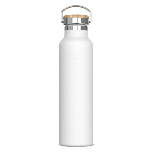 Bouteille Ashton 650ml 2