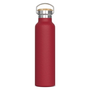 Bouteille Ashton 650ml 7