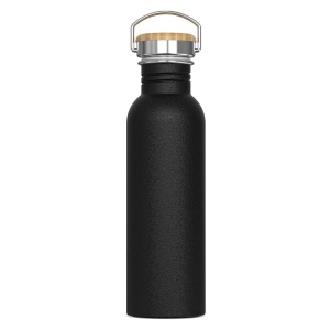 Bouteille à eau Ashton 750ml 3