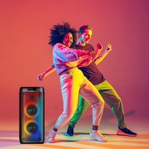 Enceinte High Power Gamme DJ - BLAUPUNKT 5
