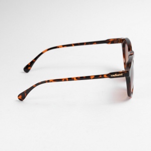 Lunettes solaires Alesia Brown 3