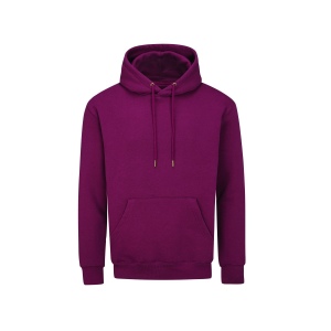 Sweat capuche 280 8