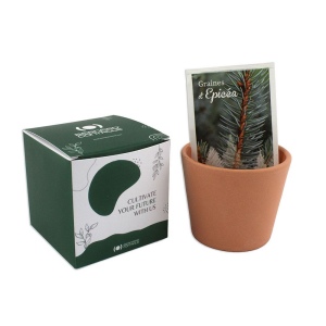 Cube plantation Ø7cm 3