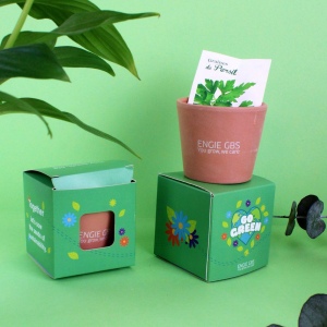 Cube plantation Ø7cm