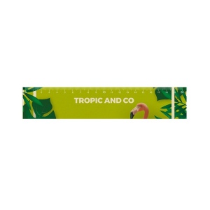Regle 20 cm canne a sucre fr (+Copie laser CL11) 2