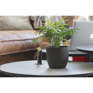 Un pot de fleurs entièrement compostable, fabriqué à partir de marc de café 5