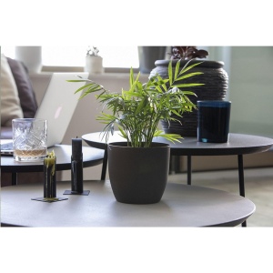 Un pot de fleurs entièrement compostable, fabriqué à partir de marc de café 6