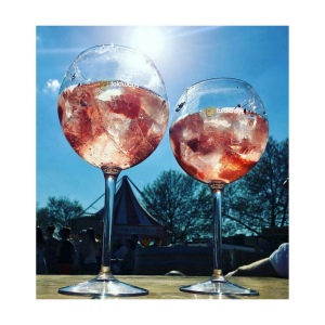 Verre Gin-Tonic en plastique, de la marque HappyGlass 4