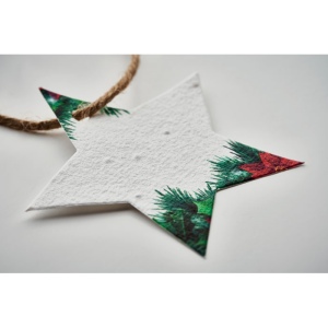 Décoration en papier semences - STARSEED 5