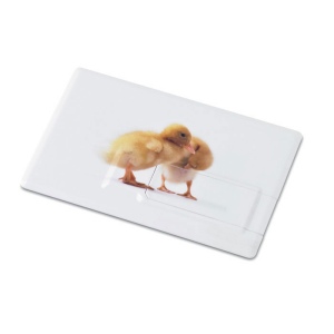 Creditcard. USB flash 16GB - MEMORAMA 3