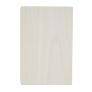 Puzzle en bois BRAIN TWISTER 4