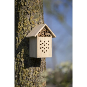 Abri pour abeilles en bois Fahim 5