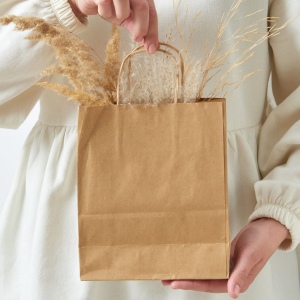 Sac papier anses torsadées 90g/m² 18x8x22cm 4