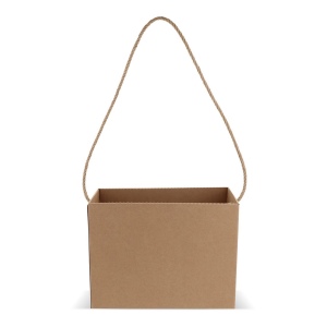 Sac en carton 32x16x24cm 3