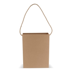 Sac en carton 24x8x32cm 3