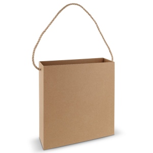 Sac en carton 35x35x11cm 2