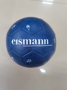 Ballon de Football