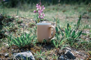 Mug 300ml en céramique avec bord blanc 37