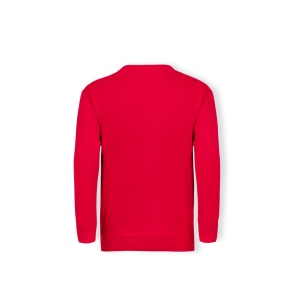 Sweat-Shirt Enfant - Classic Set-In Sweat 11