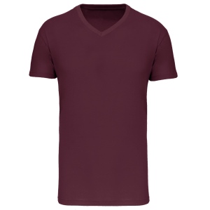 T-shirt Bio150 IC col V homme 2