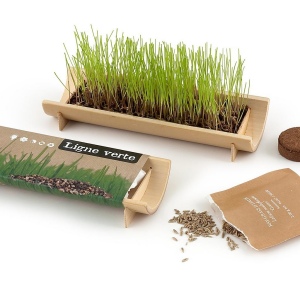 KIT DE PLANTATION JARDINIÈRE EN BAMBOU