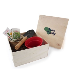 Box Jardinage Coffret Bois 2