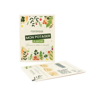 Sachet graines papier végétal 100x150 mm 2