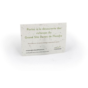 Papier graines A6 2