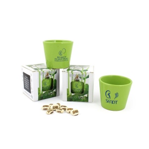 Kit de plantation graine gravée 2