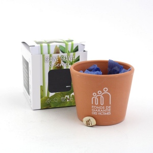 Kit de plantation graine gravée 3