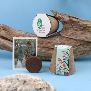 Kit plantation arbre pot fibre de bois