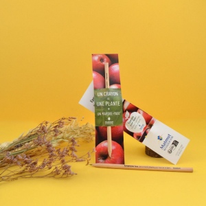 Crayon étui sachet